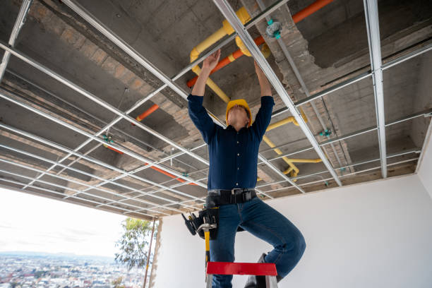 Best Plumbing Inspection Services  in Roebuck, SC